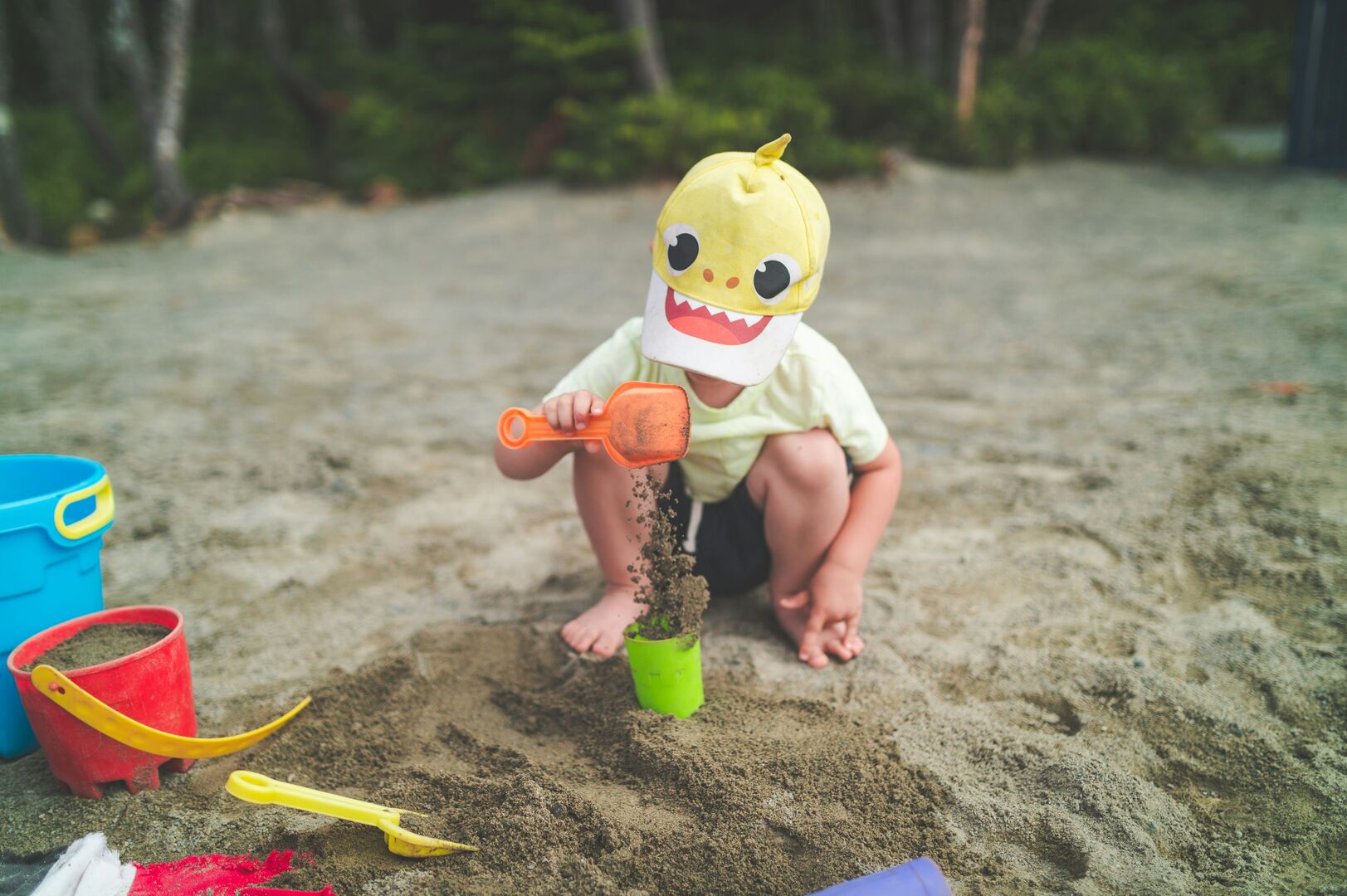 Creating Lasting Memories with Summer Play