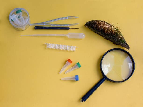 Outdoor Explorer Kit